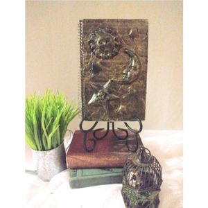 Age of Aquarius Journal